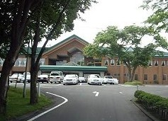 NunEX